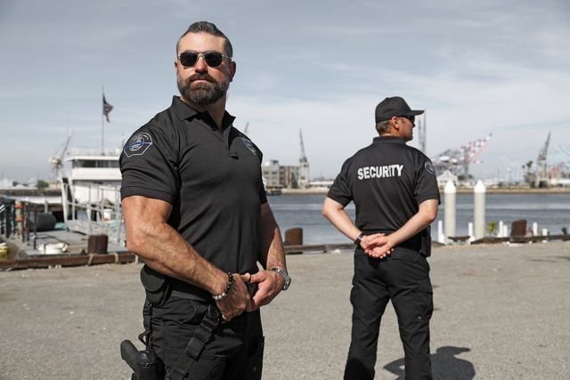 Local Executive Protection Services