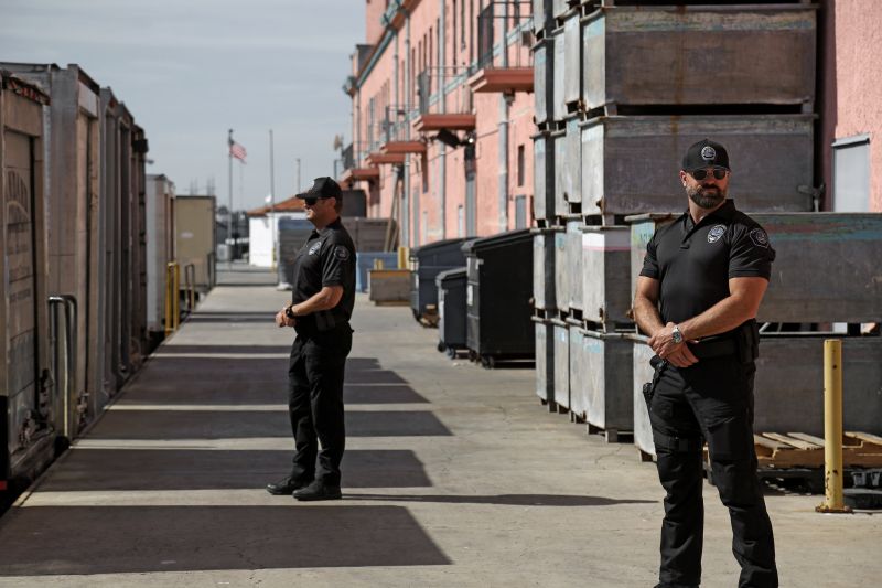 Executive Security Planning For High-Profile Individuals